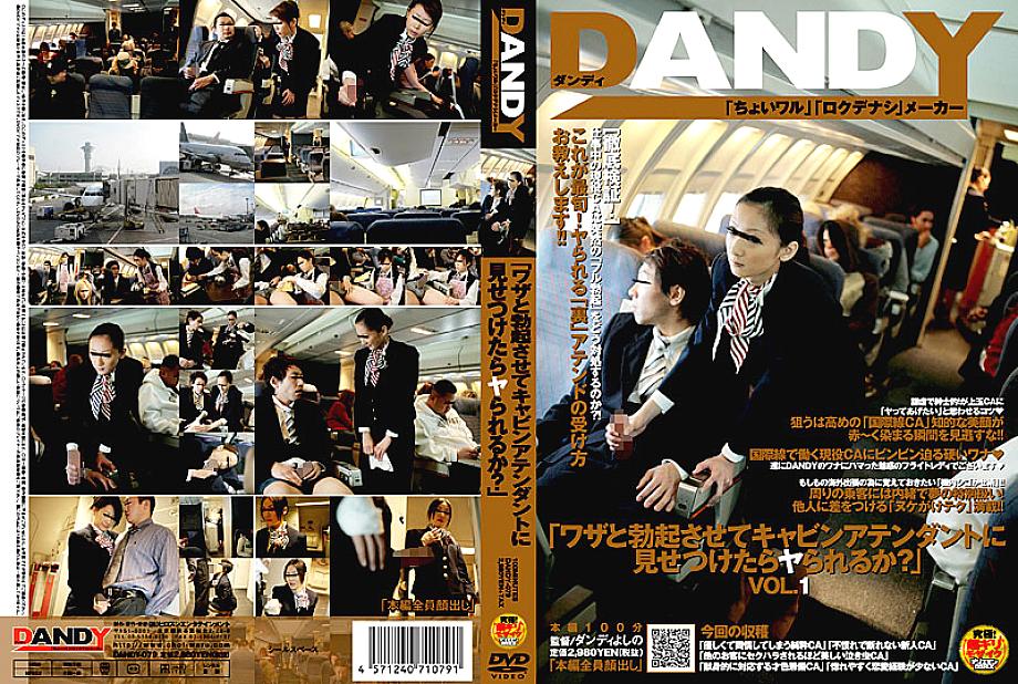 Dandy-079 “ถ้าฉันทำให้คุณตรงตามวัตถุประสงค์และแสดงให้กับพนักงานต้อนรับบนเครื่องบินคุณจะสามารถทำได้หรือไม่?”